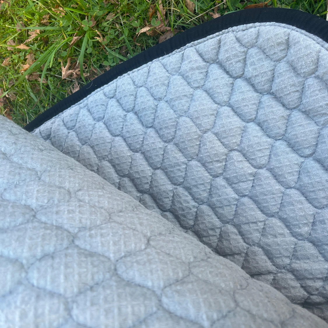 dressyr schabrak stl full - 91