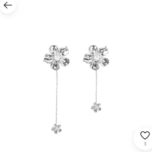 SÖKER - Söker dessa i silver 