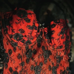 Röd och svart korsett med spetsdetaljer - Röd korsett med svarta spetsdetaljer och blommönster. Den har vadderade kupor och knäppning i ryggen för en perfekt passform. Perfekt för en elegant och dramatisk look.