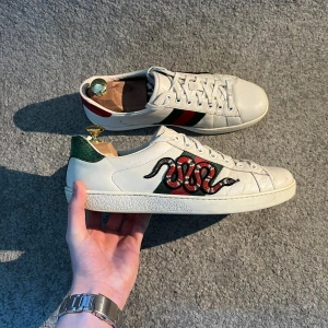 Gucci Ace Snake - Relativt sällsynta Gucci ace (snake) | Skick 8/10 | EU 41 fits 42+ | Kan gå ned lite vid snabb affär🌟