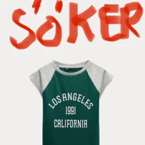 Grön och grå t-shirt med tryck - Söker denna tröja från Zara. Hälst i storlek S.