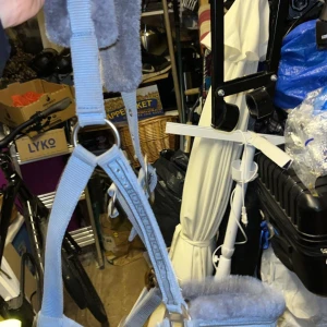 Blå hästgrimma med vaddering - Reserverad!