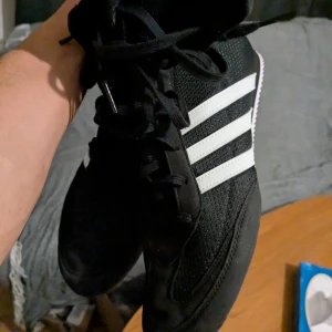 Adidas box hog 41  - Adidas box hog used lightly 