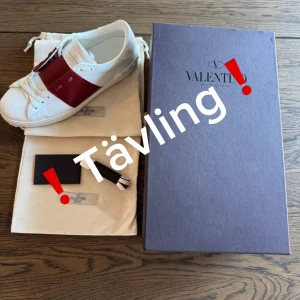 Valentino open (tävling) - Vinnare: @Oscars_closet