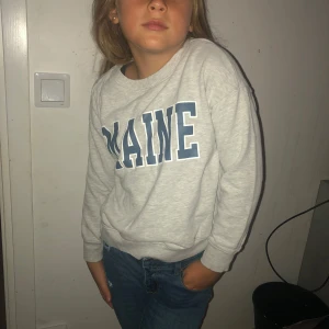 Grå sjocktröja  - Grå tjocktröja i bra skick och det står Maine på tröjan med blå och vit färg 🧥