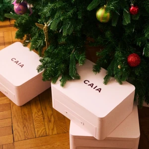 Caia Adventskalender 2024  - Årets Caia kalender är till salu och skickas direkt då den anländer hos mig om ca 2-3 veckor