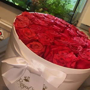 Evighetsrosor  - Röda Evighetsrosor 