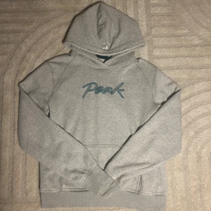 Grå hoodie från Peak Performance - Säljer en stilren grå hoodie från Peak Performance med blått broderat logotyp på bröstet. Tröjan har en klassisk design med huva och ribbade muddar vid ärmslut och nederkant. Perfekt för en avslappnad look.är ganska liten i storlek 