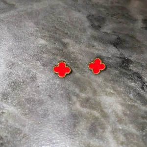 Örhängen  - Rostfritt stål helt nya