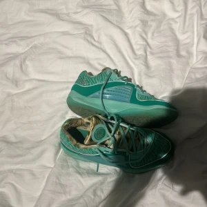 Nike KD 16 Wanda sneakers - Ett par riktigt feta KD 16 Wanda basket skor. Sitter riktigt bra och är väldigt fräscha