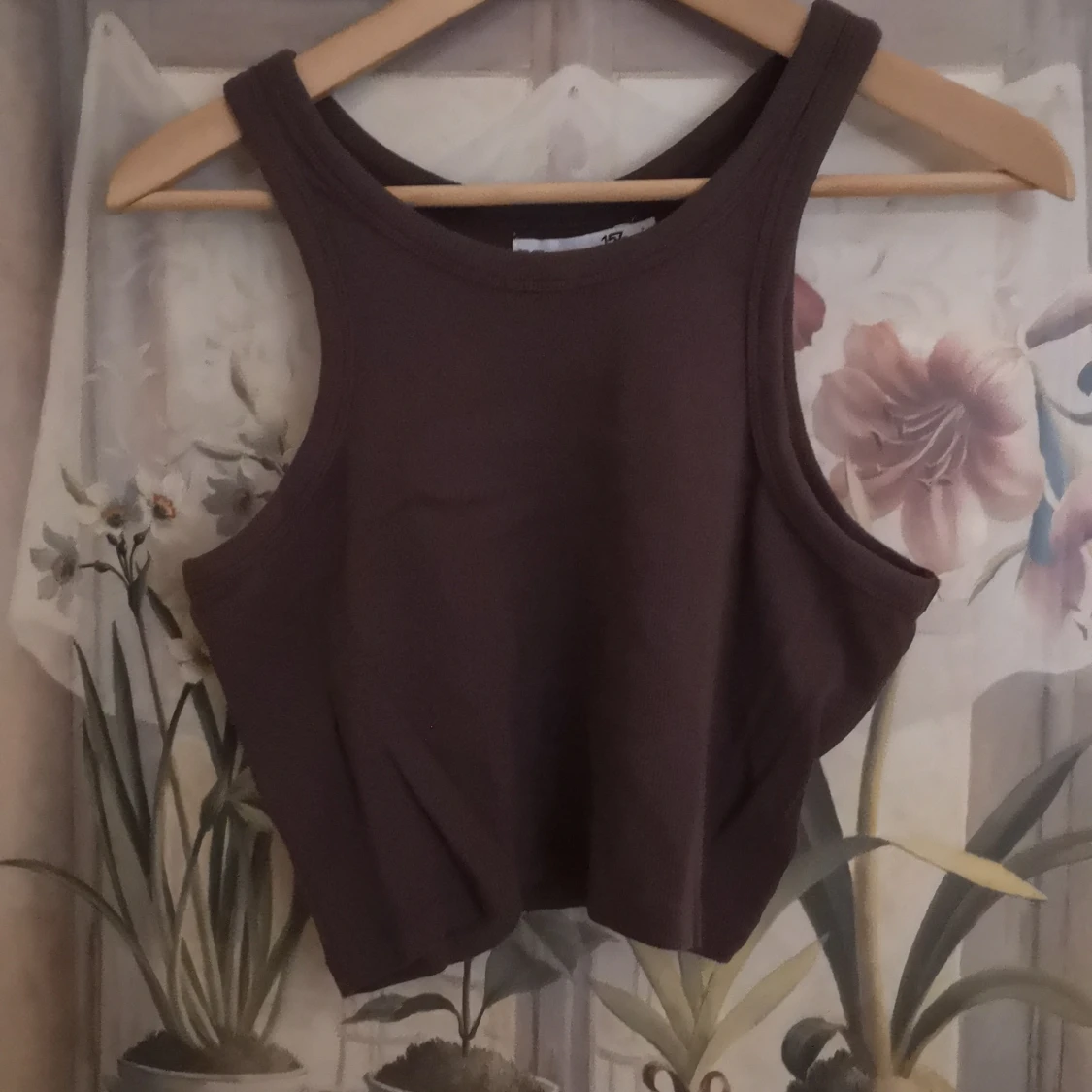 Brun ribbad linnetopp från lager 157