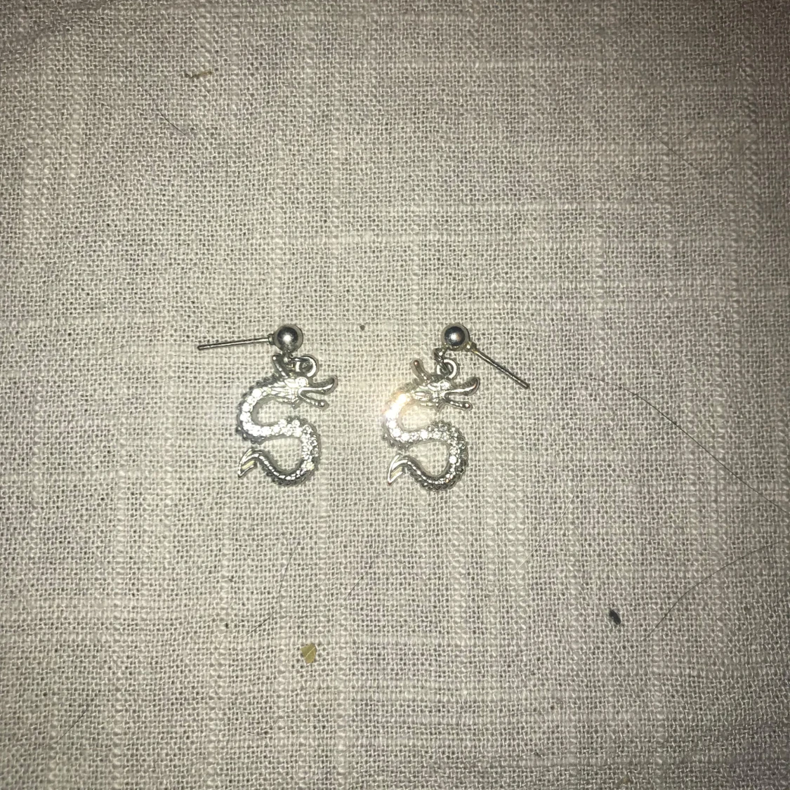 Silvriga drakörhängen