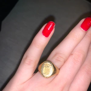 Mörner af Morlanda - Vapenring 18k - Snygg guldfärgad signetring med ett detaljerat emblem på ovansidan. Perfekt för att ge en elegant touch till din stil. Ringen har en klassisk och tidlös design. 14 gram.