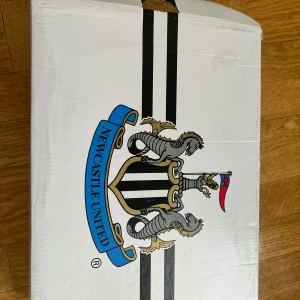 Skor  - Oanvänd st 45 