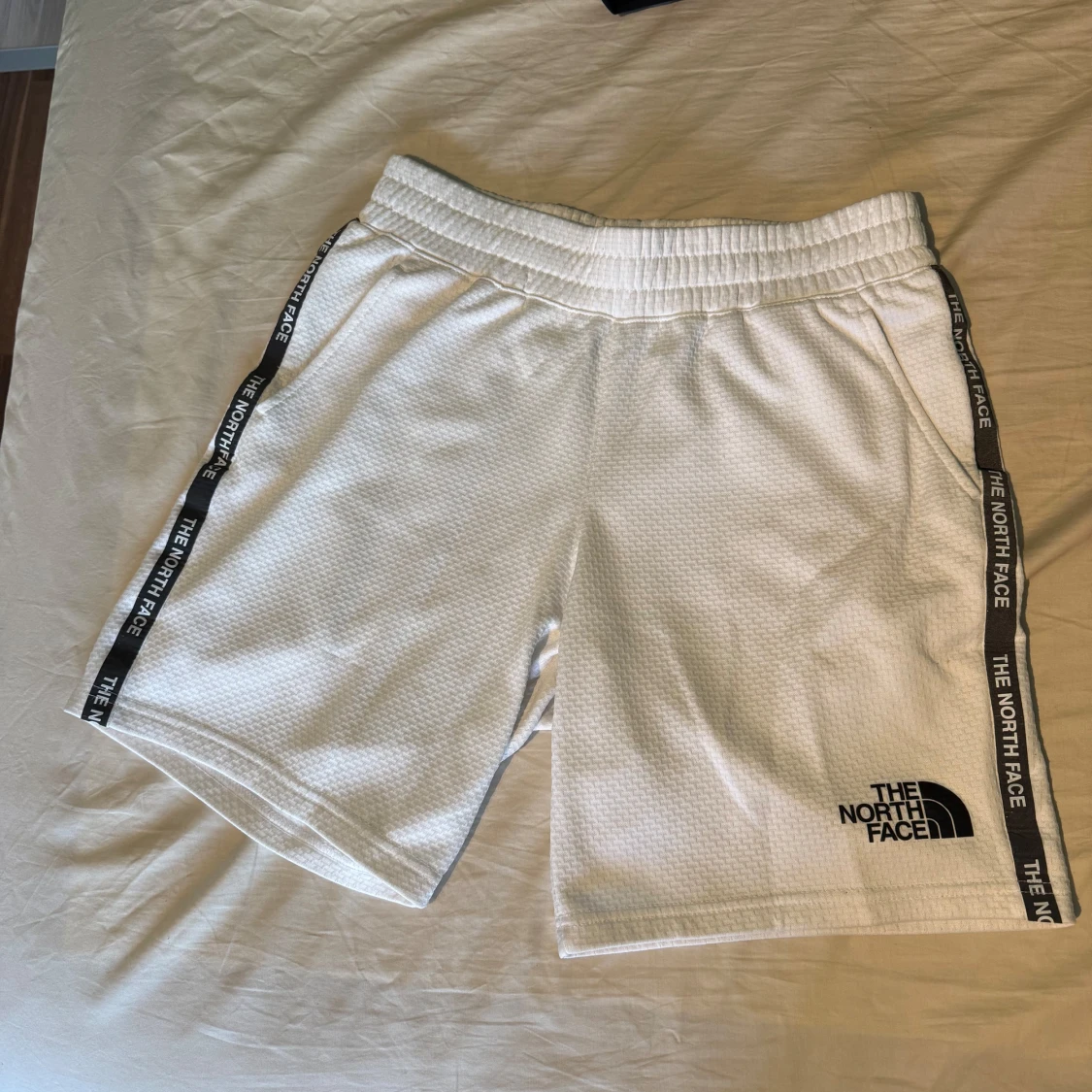 The north face shorts