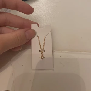 Guldhalsband med stjärnhänge - Elegant guldhalsband med ett gnistrande stjärnhänge. Perfekt för att lägga till en touch av glamour till din stil. Kedjan är fin och delikat, vilket gör den idealisk för både vardag och speciella tillfällen.