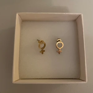 Guldörhängen Edblad  - Snygga örhängen i guld från Edblad 