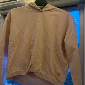 Hoodie  - Säljer en rosa hoodie med Knut som jag hade när jag var liten. Den är i storlek 160 och är sparsamt använd. Alltså inga fläckar, hål eller något trasigt. Vet inte var den är ifrån.