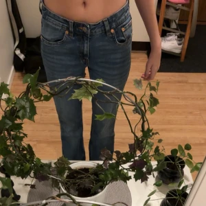 Low boots Jeans  - Fina jeans som aldrig kommer till användning🌸