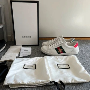 Gucci Ace Skor - Säljer dessa snygga Gucci Ace skor i väldigt fint skick. Kommer väldigt fint förpackat precis som från butik. De är i toppskick bara att ena snöret på skon är smutsigt, men inget man lägger märke till. Kvitto medföljer också. Pris kan diskuteras.