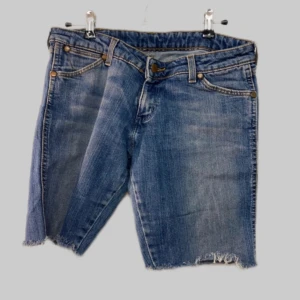 Wrangler y2k shorts - Modell Megan