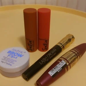 Sminkset med läppstift, ögonbrynsgel och mascara - Säljer ett sminkset med två Technic Satin läppstift i nyanserna 'Duchess' och 'True Velvet', en Technic Brow Fixx ögonbrynsgel, en max factor Lash Crown mascara och en annan mascara från Max Factor. De är endast testade.
