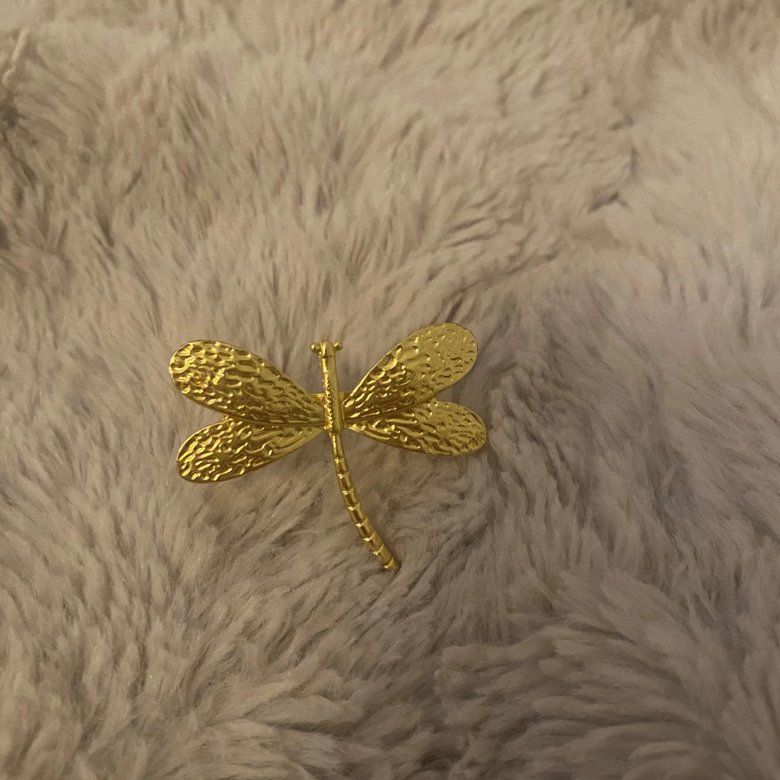 Guldfärgad trollsländering