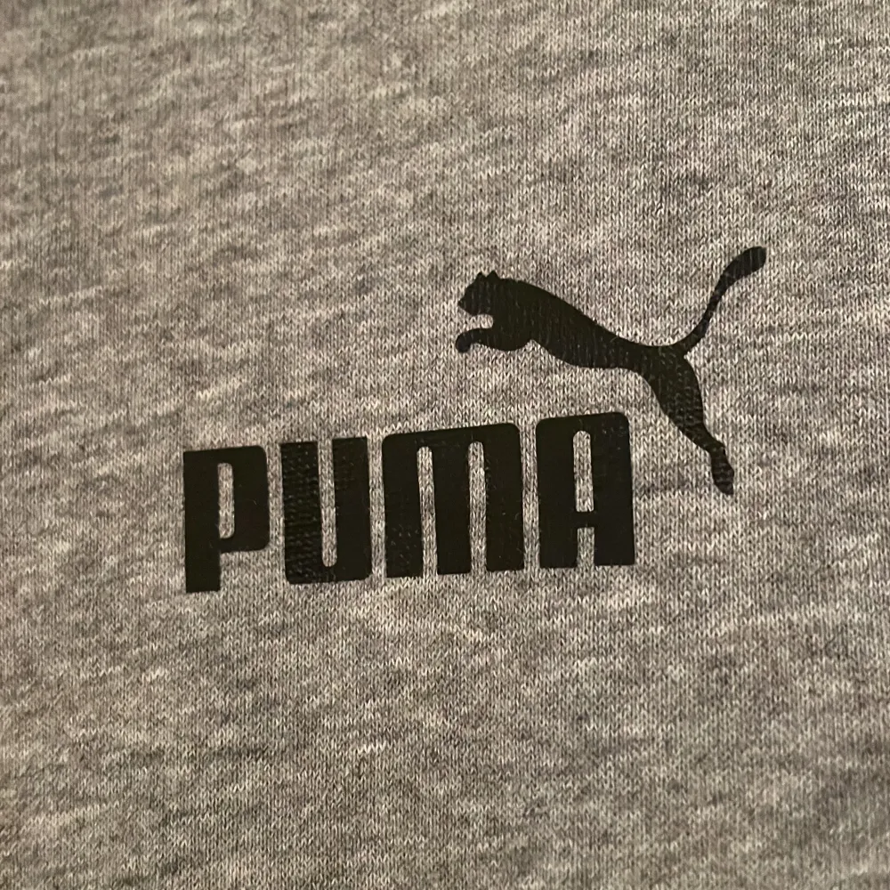 Säljer en snygg grå hoodie från Puma i storlek 13/14 år. Den har en klassisk design med en stor ficka på magen och Puma-loggan tryckt på bröstet. Perfekt för både vardag och träning. Superbekväm och stilren!. Hoodies.