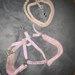 Säljer grimma&grimskaft - Säljer en grimma och grimskaft av mulle. Använt därför är smutsiga men rengör innan man får hem dem!😁