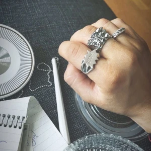 Edblad ring nitar - Jätte snygg ring med nitar i silver  i storlek 18.5 från Edblad som inte kommer till användning🌺💕