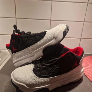 Ett par helt nya Jordans  - Helt nya. Tyvärr ingen kartong. Fick i pressen men har tyvärr ingen kvitt. Storleken är 38.5. Otroligt fina 