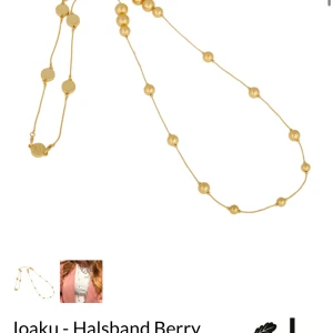 Ioaku halsband ⭐️ - Asken medföljer ⭐️ Endast testad en gång  Ny skick Ordinarie pris: 599kr  