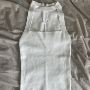 Zara Halterneck topp - Populär halterneck topp från zara! Aldrig använd och i helt nyskick❤️ ❌Läs bio innan du bestämmer dig för att köpa/kontakta mig❌