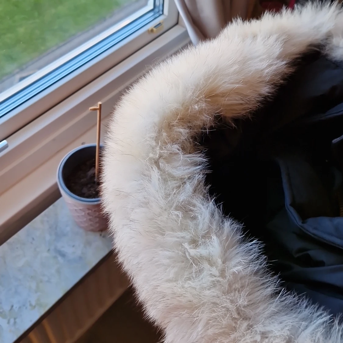 ORIGINAL MOOSE KNUCKLES JACKA - 90