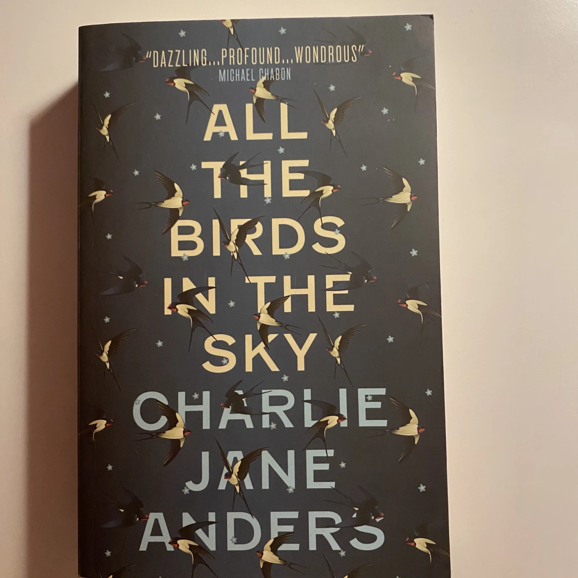 All the birds in the sky