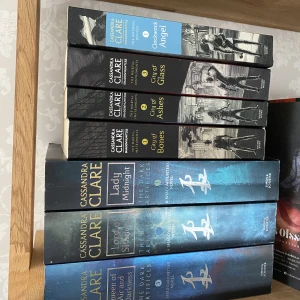 The shadowhunters - Böcker engelska