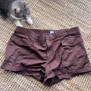 Bruna shorts som ni förhoppningsvis ser, använd en gång. Katthåret på dom och katten ingår ej tyvärr. 