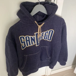 Vintage hoodie  - Hoodie köpt sencond hand. Säljer för jag inte använder den längre. 60 cm lång. 