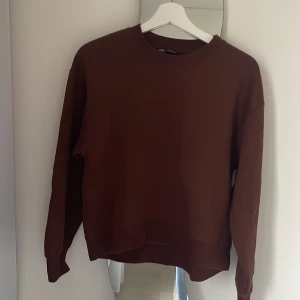 Brun sweatshirt  - Brun sweatshirt, använd vid fåtal tillfällen, stl m, passar även S