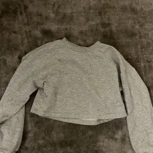 En ljusgrå cropad sweatshirt i storlek XS