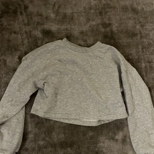 Sweatshirt  - En ljusgrå cropad sweatshirt i storlek XS