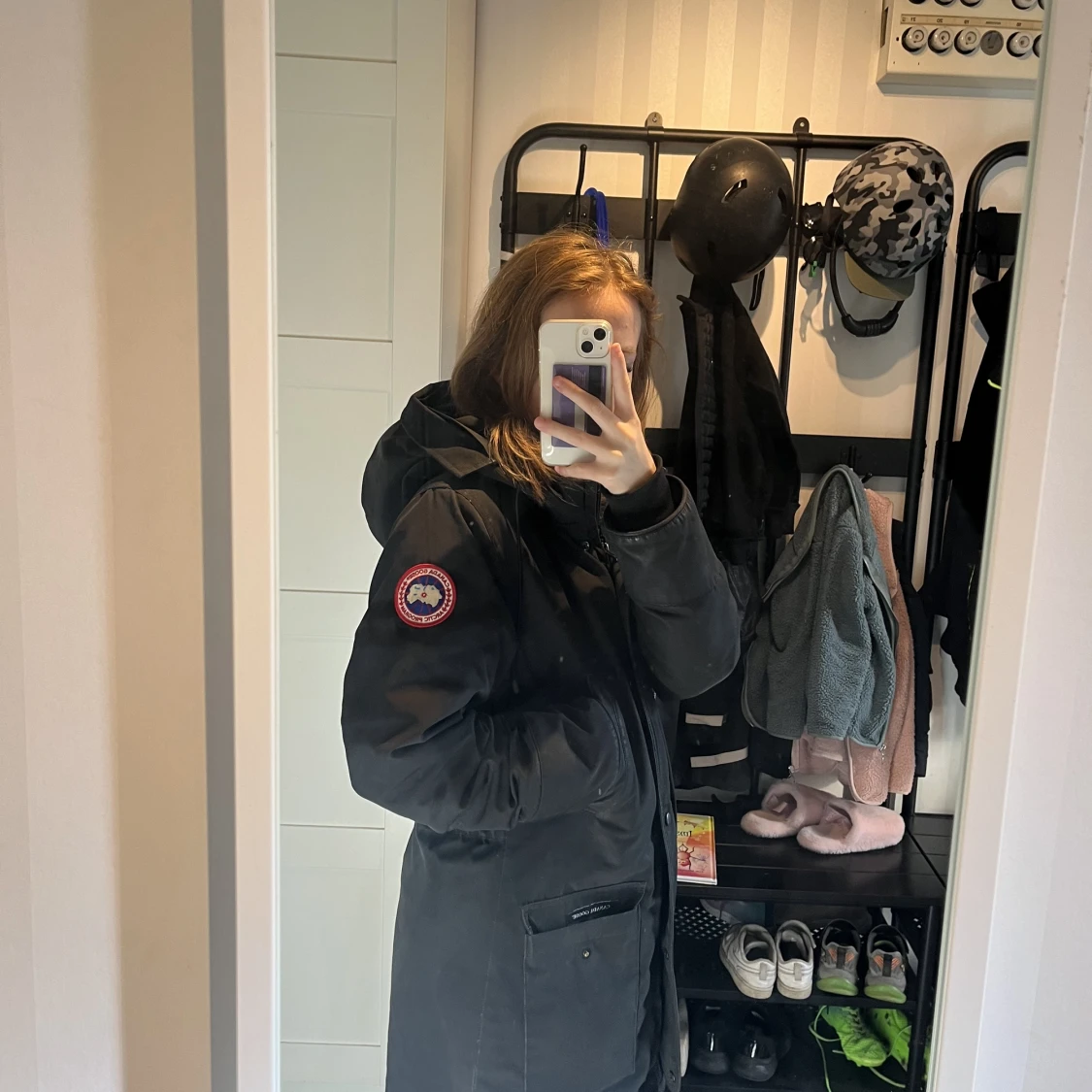 Intressekoll Canada goose - 91