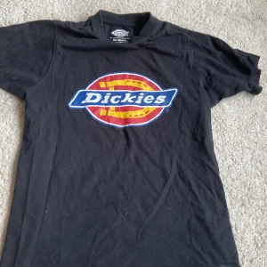 Dickies t-shirt  - Eparaggarstil,dickies t-shirt bra kvalite 