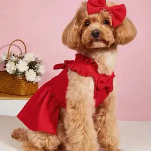 Oanvänd/helt ny klänning till husdjur! Passar 1-5 kg