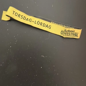 Cityfestivalen 3 dagarspass - Västerås cityfestivalenbiljett 