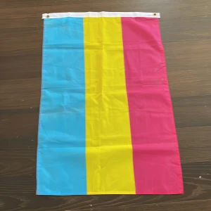 Pan Prideflagga - Bra skick, längden är 95 cm och bredden är 62 cm.