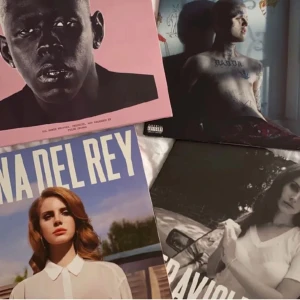 Vinyl skivor  -  Säljer mina vinyl skivor, alla är i nyskick. Önskas fler bilder så är det bara skriva! 300kr st Har även: K-12-Melanie Martinez Froot- Marina and the Diamond