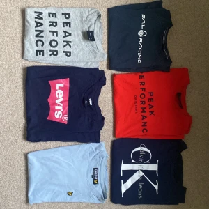 Märkes t-shirts  - Säljer sex t-shirts från olika märken då de ej kommer till andvändning. Alla är i fint skick och kontakta mig om du undrar över storlek eller annat!☺️säljer för 100 kr st, alla för 500!