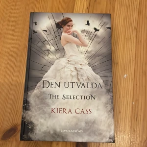 the selection bok  - sitter mest på min hylla och dammar! läst cirka en halv gång, ser ut att vara i nyskick!!