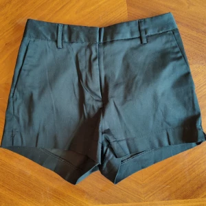 Kostymshorts - Snygga kostymshorts, väldigt lite använda 